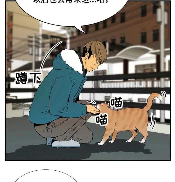 《不同视角》漫画最新章节第26话 26_猫咪免费下拉式在线观看章节第【3】张图片