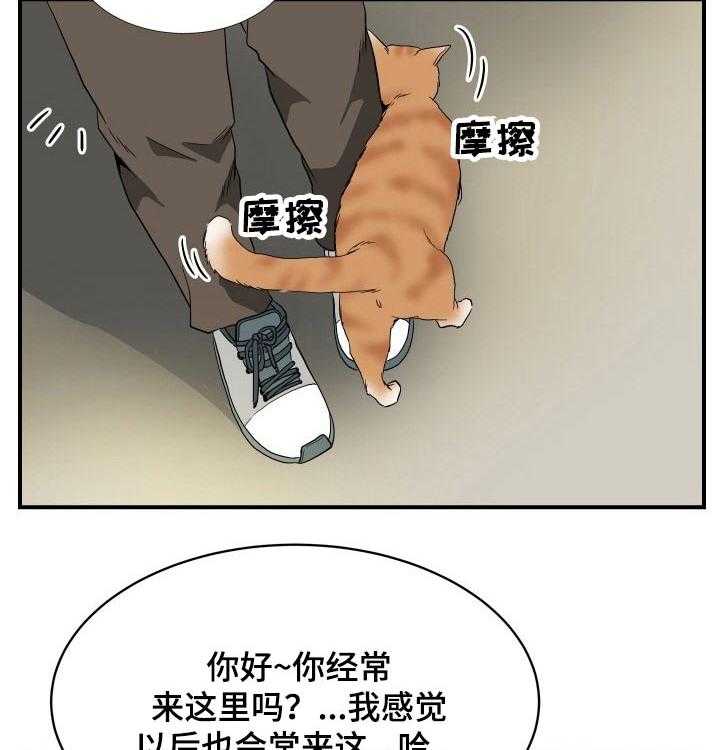 《不同视角》漫画最新章节第26话 26_猫咪免费下拉式在线观看章节第【4】张图片