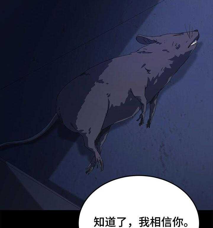 《狐影迷惑》漫画最新章节第110话 110_后悔莫及免费下拉式在线观看章节第【34】张图片