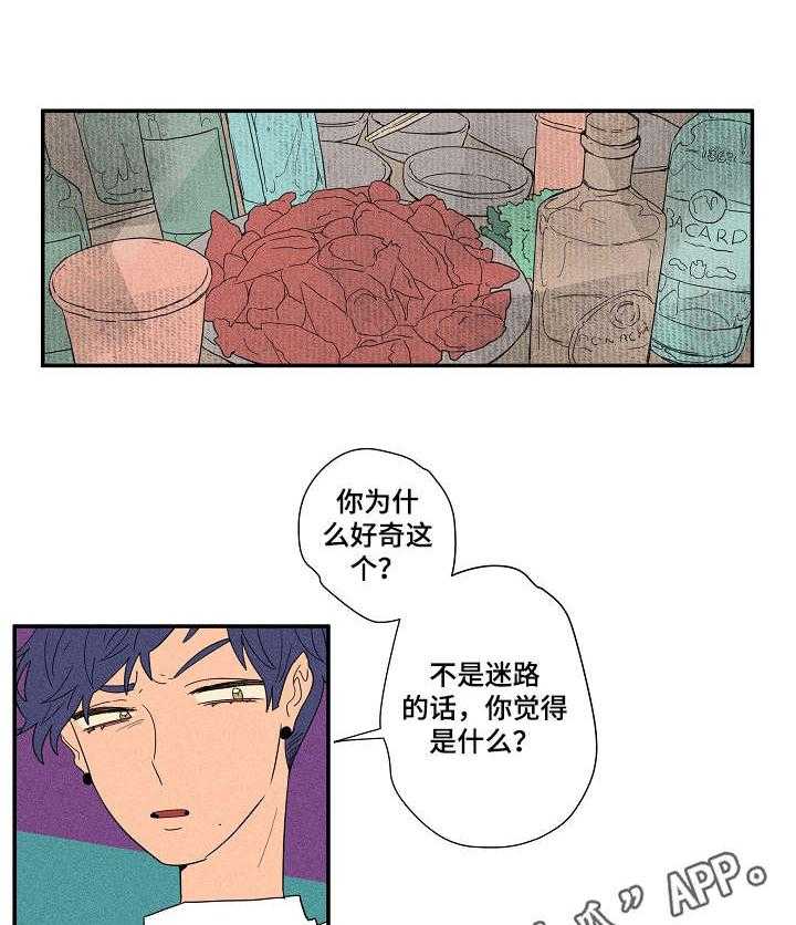 《混沌关系》漫画最新章节第15话 15_真心话游戏免费下拉式在线观看章节第【10】张图片