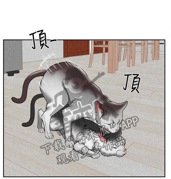 《寄宿旅馆》漫画最新章节第45话 45_不同的世界免费下拉式在线观看章节第【19】张图片