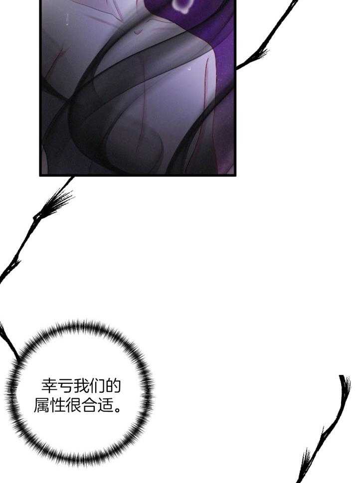 《顶级哨兵在线追妻》漫画最新章节第5话 5_属性合适免费下拉式在线观看章节第【8】张图片