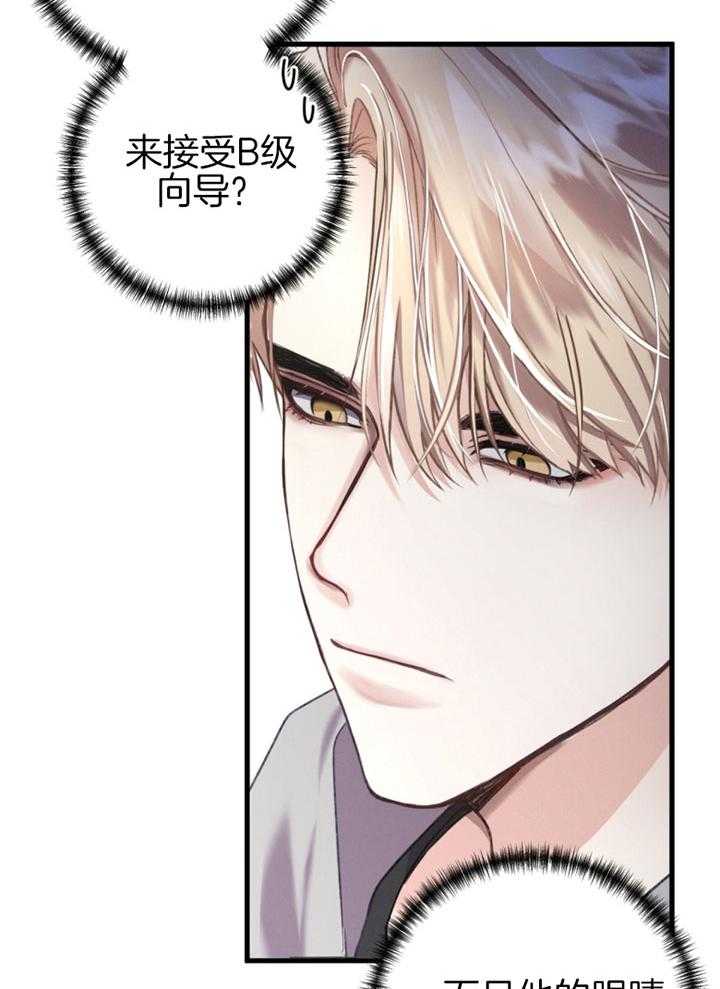 《顶级哨兵在线追妻》漫画最新章节第4话 4_天生匹配免费下拉式在线观看章节第【27】张图片