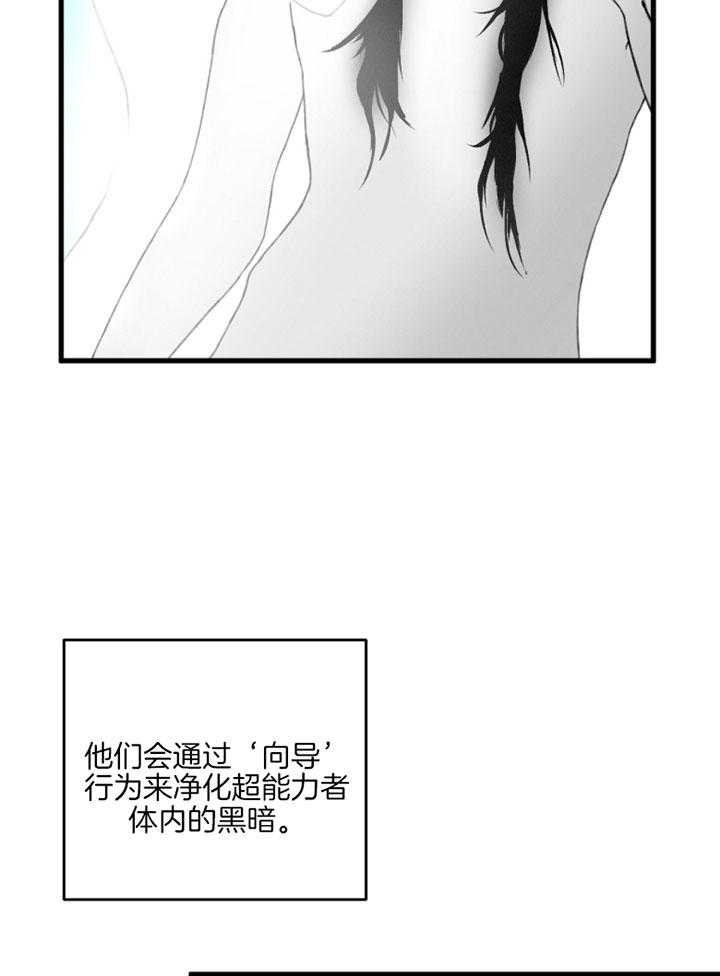 《顶级哨兵在线追妻》漫画最新章节第2话 2_B级向导免费下拉式在线观看章节第【23】张图片