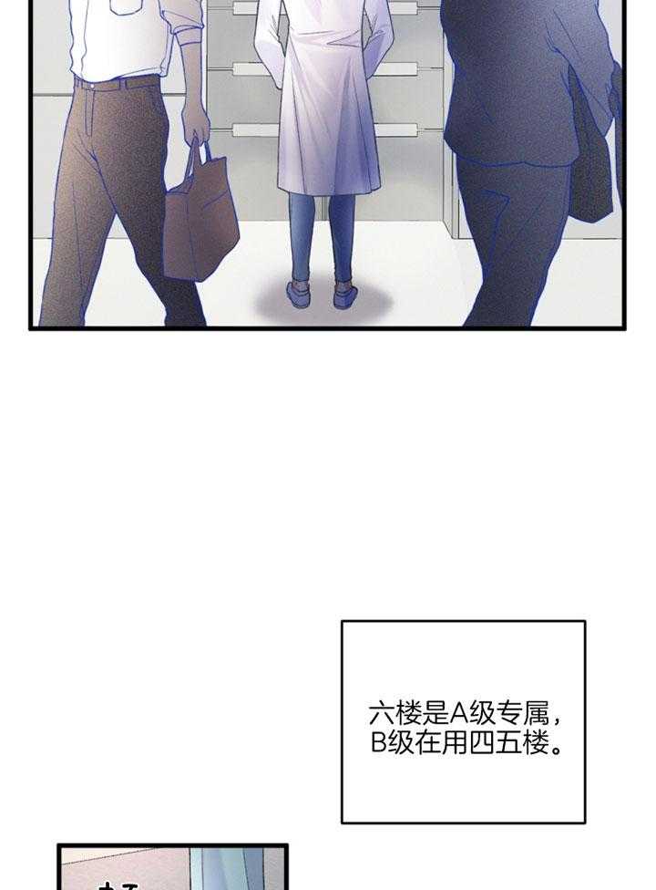 《顶级哨兵在线追妻》漫画最新章节第2话 2_B级向导免费下拉式在线观看章节第【8】张图片