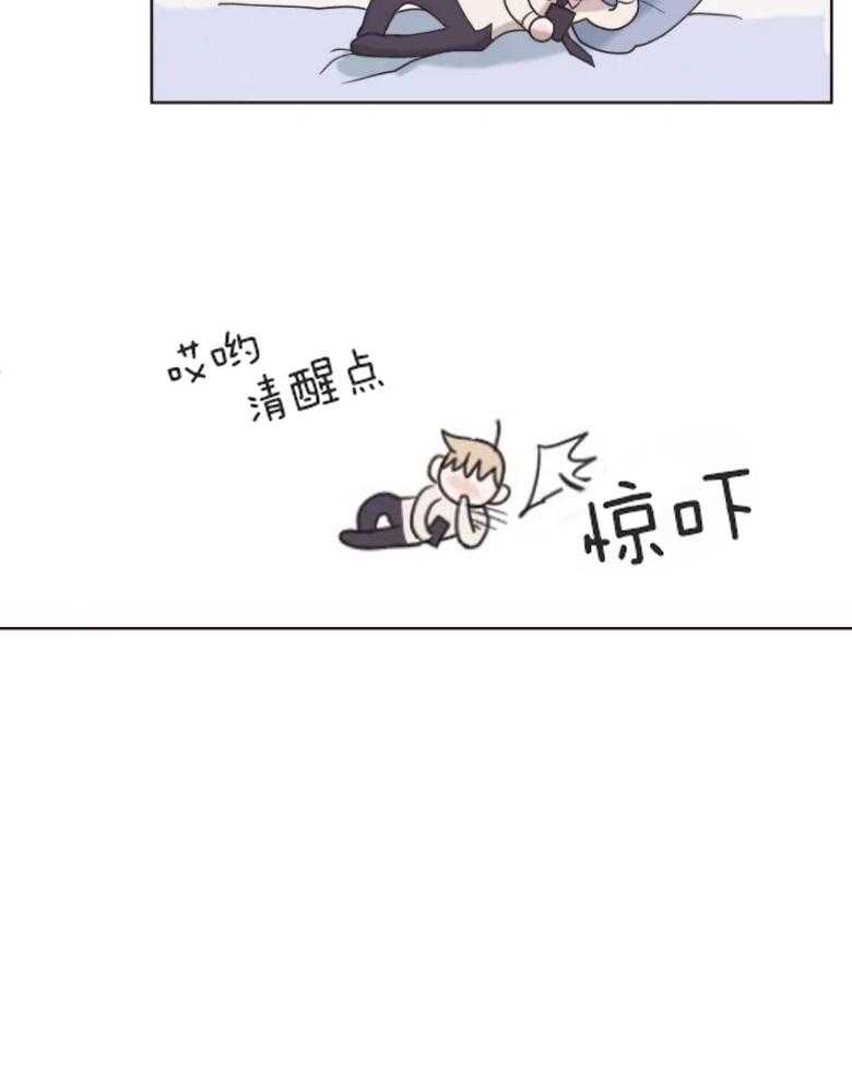 《爱豆要找我整容》漫画最新章节第5话 5_猫系脸免费下拉式在线观看章节第【20】张图片