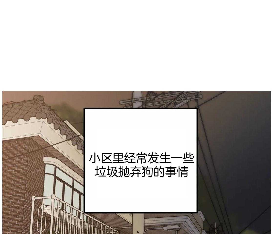 《捡只宠物被攻了》漫画最新章节第1话 1_蹲门口的小可怜免费下拉式在线观看章节第【49】张图片