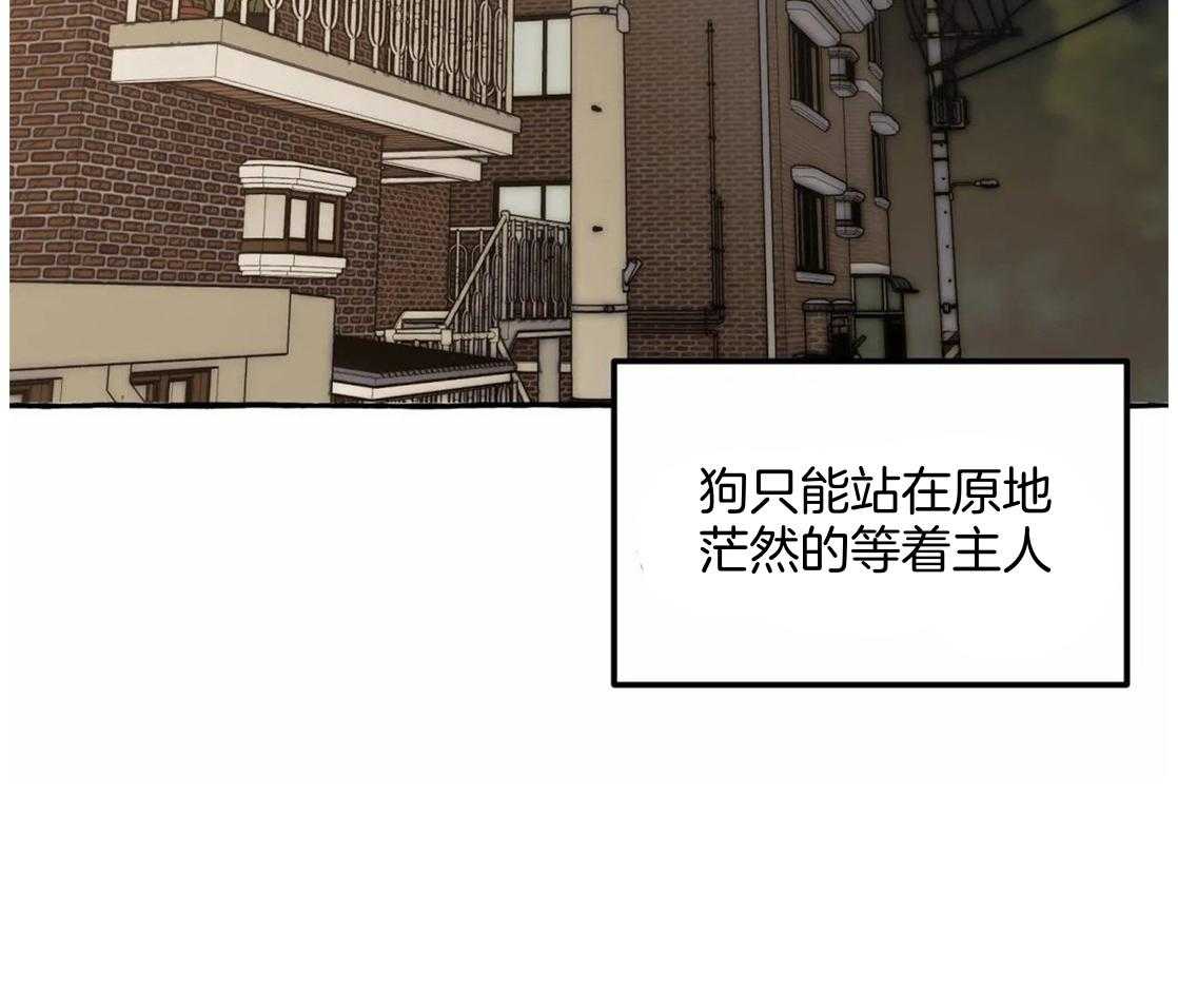 《捡只宠物被攻了》漫画最新章节第1话 1_蹲门口的小可怜免费下拉式在线观看章节第【48】张图片