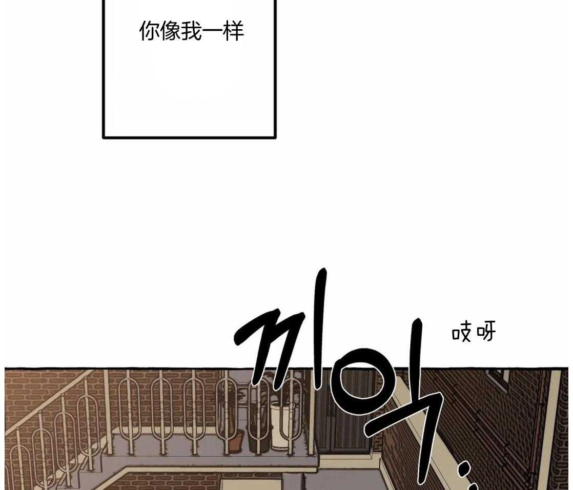 《捡只宠物被攻了》漫画最新章节第1话 1_蹲门口的小可怜免费下拉式在线观看章节第【35】张图片