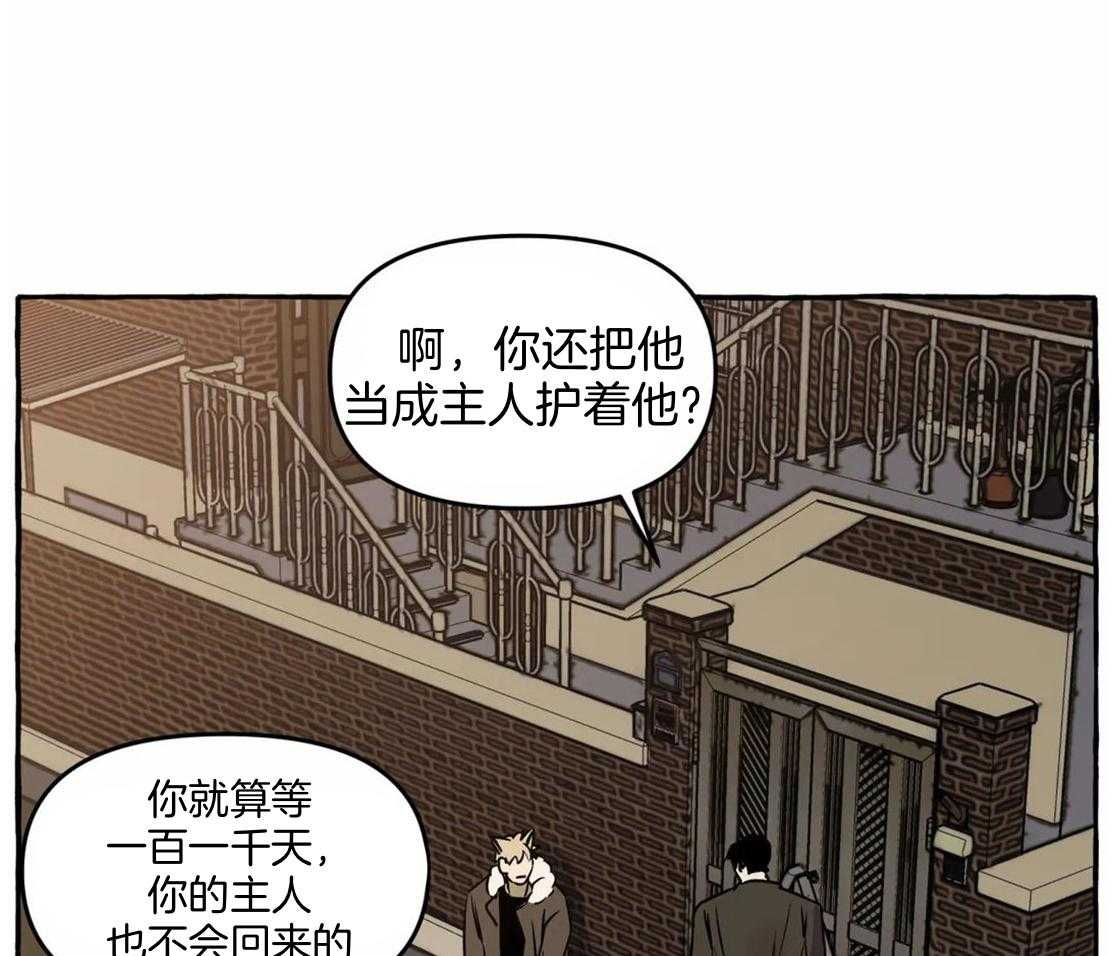 《捡只宠物被攻了》漫画最新章节第1话 1_蹲门口的小可怜免费下拉式在线观看章节第【39】张图片