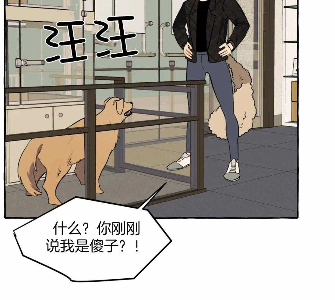 《捡只宠物被攻了》漫画最新章节第10话 10_追到医院来免费下拉式在线观看章节第【39】张图片