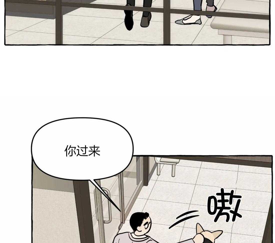 《捡只宠物被攻了》漫画最新章节第10话 10_追到医院来免费下拉式在线观看章节第【18】张图片