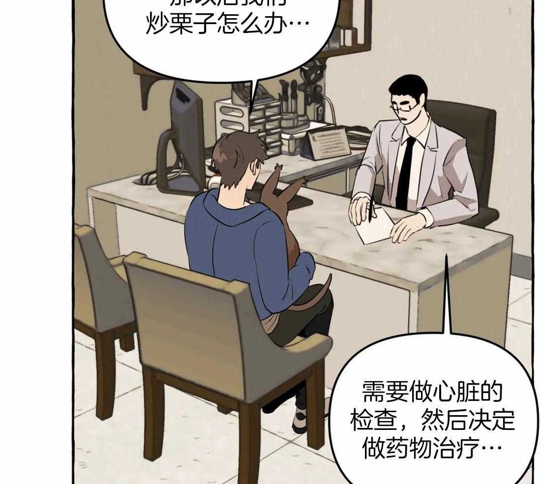 《捡只宠物被攻了》漫画最新章节第11话 11_亲亲教学免费下拉式在线观看章节第【35】张图片