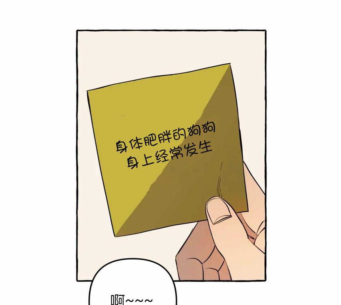 《捡只宠物被攻了》漫画最新章节第11话 11_亲亲教学免费下拉式在线观看章节第【41】张图片