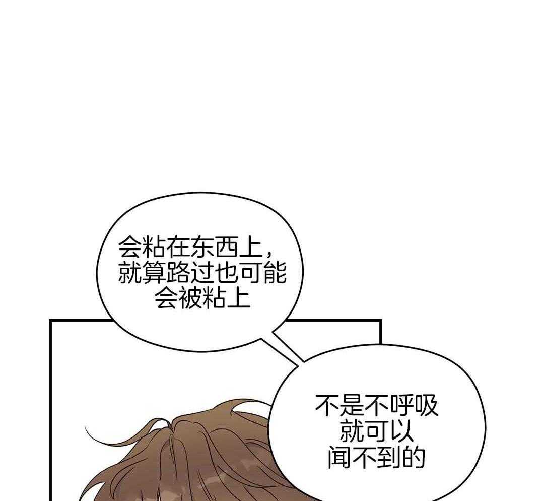 《我是beta？我装的》漫画最新章节第2话 2_分化免费下拉式在线观看章节第【22】张图片