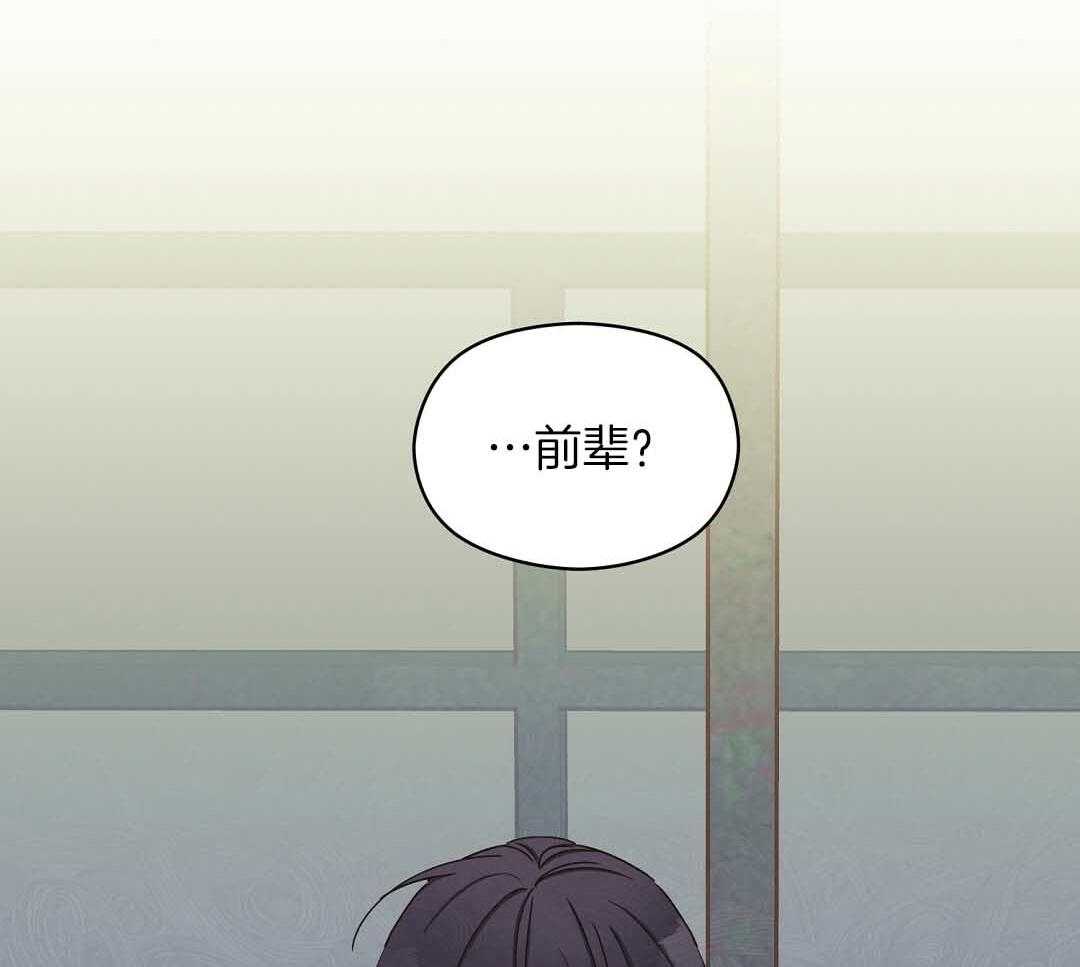 《我是beta？我装的》漫画最新章节第9话 9_你不是omega免费下拉式在线观看章节第【66】张图片