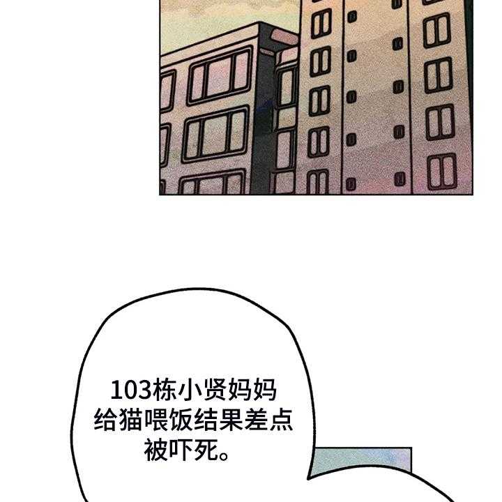 《凝视R》漫画最新章节第93话 93_是达云杀了猫免费下拉式在线观看章节第【40】张图片