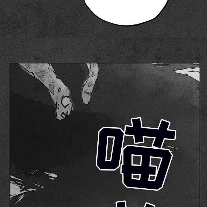 《凝视R》漫画最新章节第93话 93_是达云杀了猫免费下拉式在线观看章节第【44】张图片