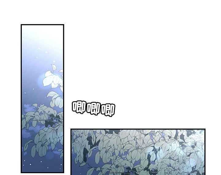 《陌生王妃》漫画最新章节第16话 16_塔利亚之夜免费下拉式在线观看章节第【20】张图片