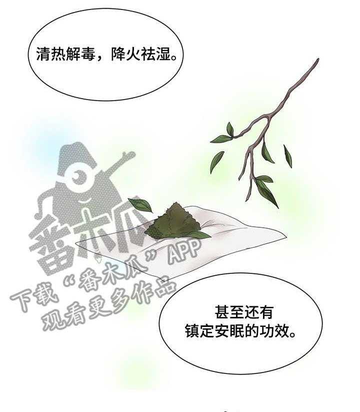 《陌生王妃》漫画最新章节第19话 19_雪花叶免费下拉式在线观看章节第【29】张图片