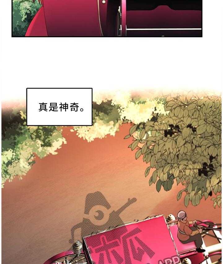 《陌生王妃》漫画最新章节第56话 57_女王花(完结)免费下拉式在线观看章节第【25】张图片