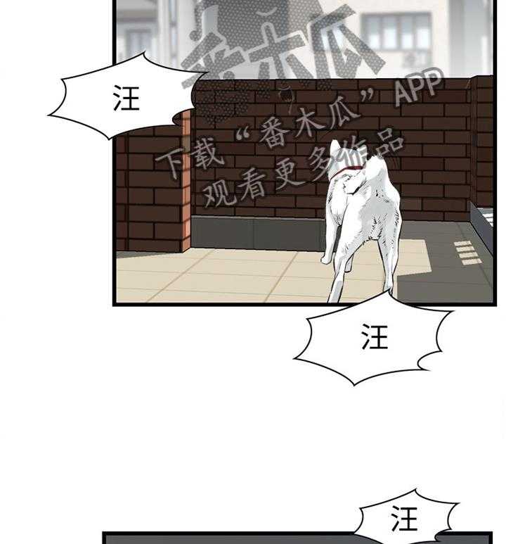 《窥视者2》漫画最新章节第58话 58_华式定理免费下拉式在线观看章节第【3】张图片