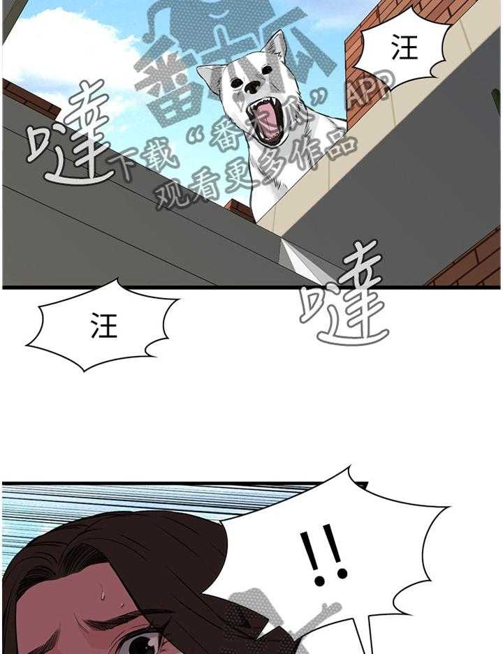 《窥视者2》漫画最新章节第59话 59_抓获免费下拉式在线观看章节第【31】张图片