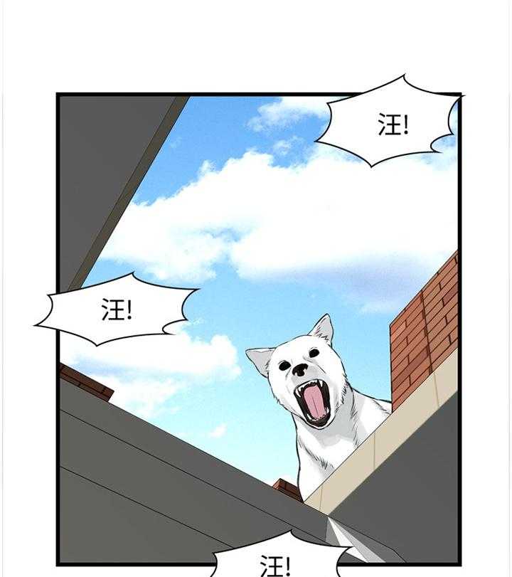 《窥视者2》漫画最新章节第59话 59_抓获免费下拉式在线观看章节第【29】张图片