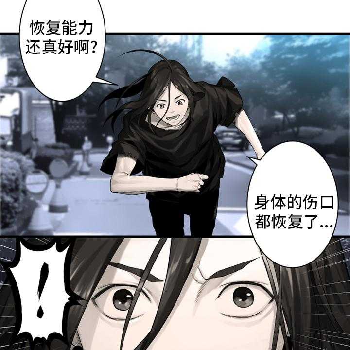 《苍兽大人》漫画最新章节第103话 103_很重要免费下拉式在线观看章节第【33】张图片