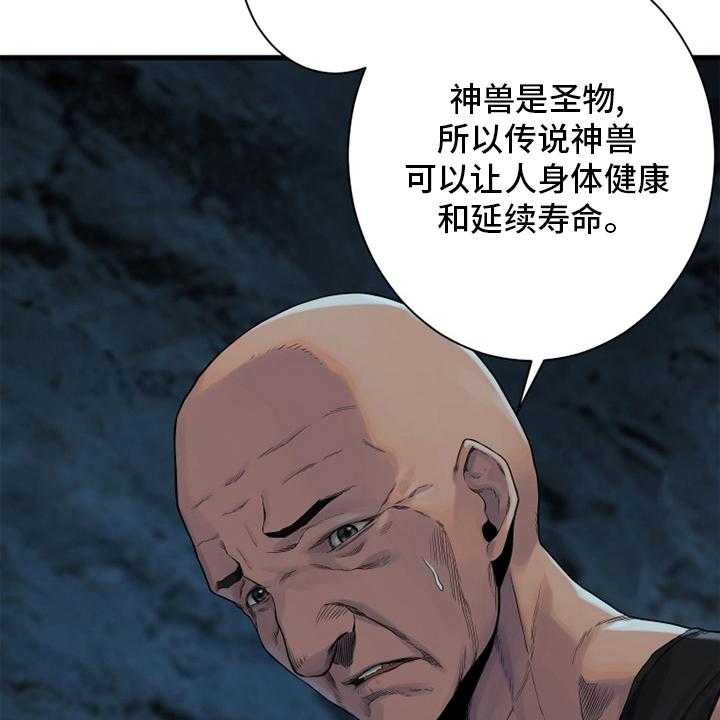 《苍兽大人》漫画最新章节第119话 119_不见了免费下拉式在线观看章节第【30】张图片