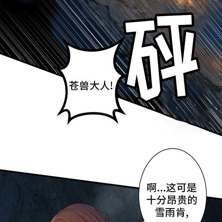 《苍兽大人》漫画最新章节第131话 131_委托免费下拉式在线观看章节第【31】张图片