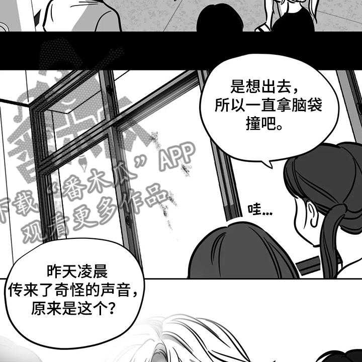 《鸠占鹊巢》漫画最新章节第60话 60_【第二季】撞死的鸟免费下拉式在线观看章节第【15】张图片