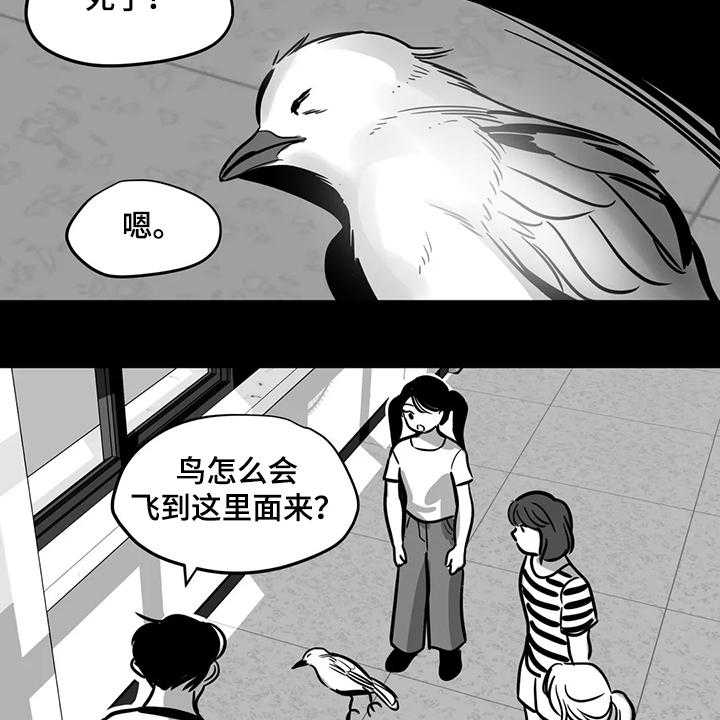 《鸠占鹊巢》漫画最新章节第60话 60_【第二季】撞死的鸟免费下拉式在线观看章节第【16】张图片