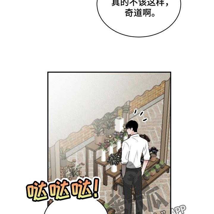 《老板不可以》漫画最新章节第75话 75_【第二季】仙人掌免费下拉式在线观看章节第【6】张图片