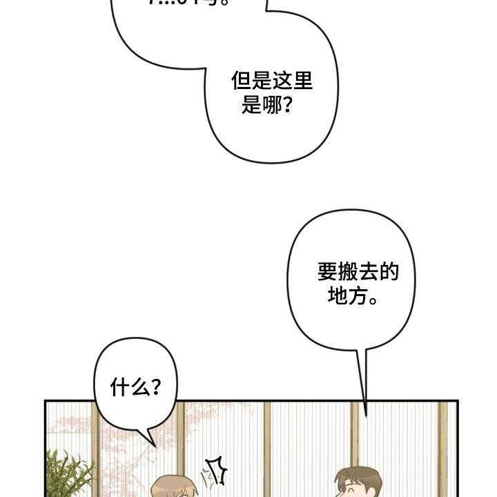 《恋爱攻势》漫画最新章节第57话 57_未来计划免费下拉式在线观看章节第【24】张图片