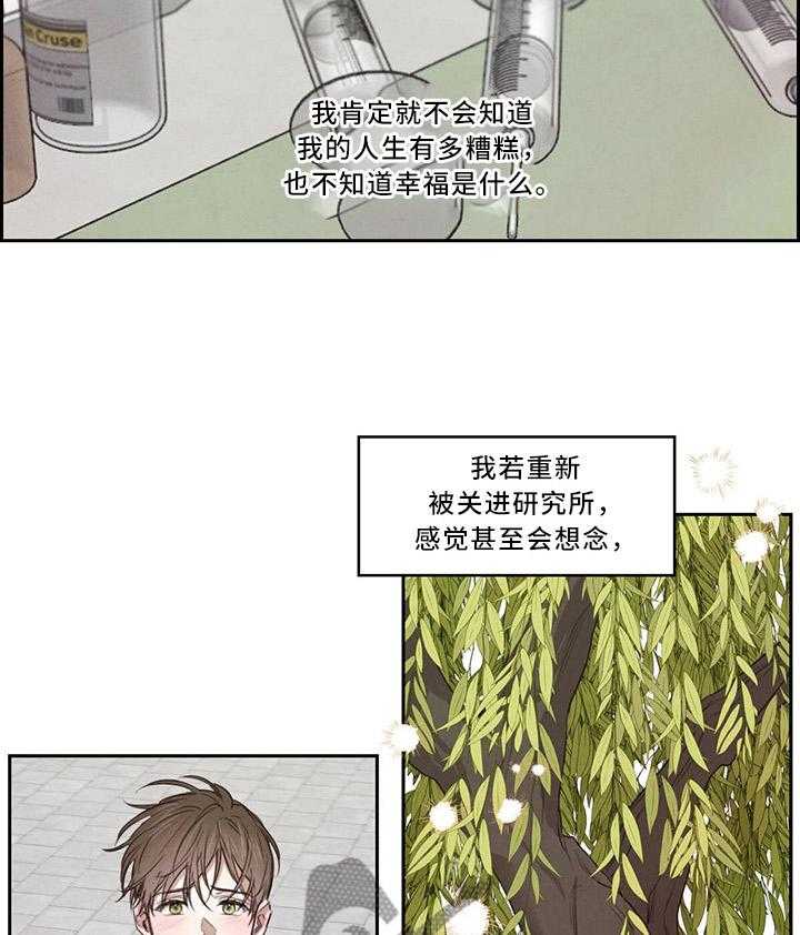 《柳树下的浪漫》漫画最新章节第18话 18_挑事免费下拉式在线观看章节第【18】张图片