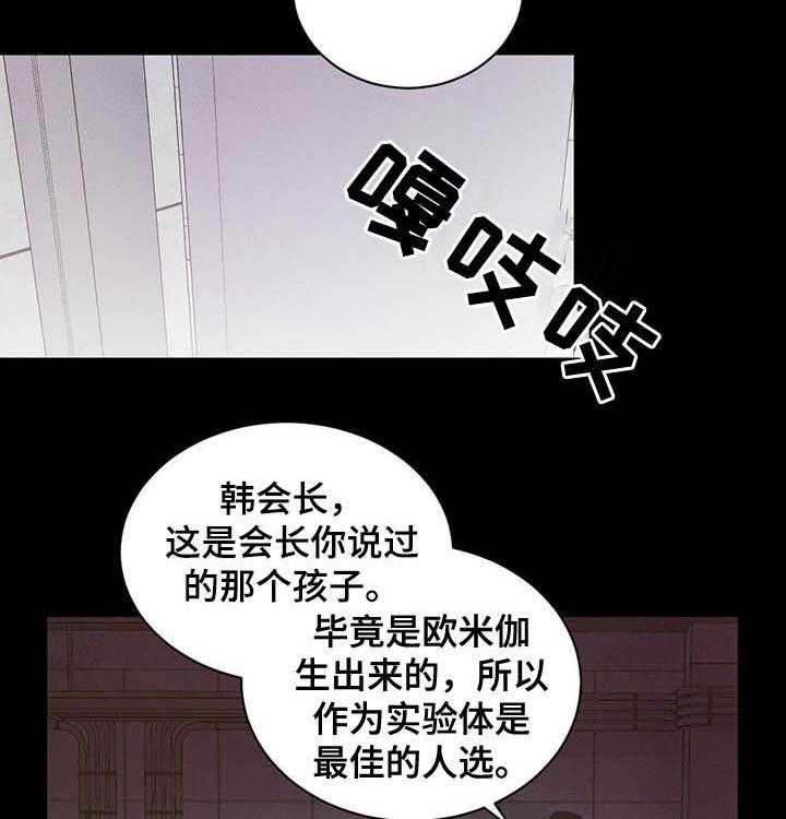 《柳树下的浪漫》漫画最新章节第49话 49_【第二季】最佳人选免费下拉式在线观看章节第【24】张图片