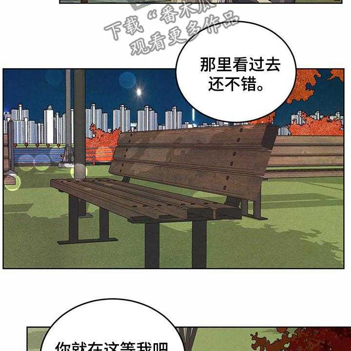 《柳树下的浪漫》漫画最新章节第79话 79_【第二季】夜游免费下拉式在线观看章节第【3】张图片