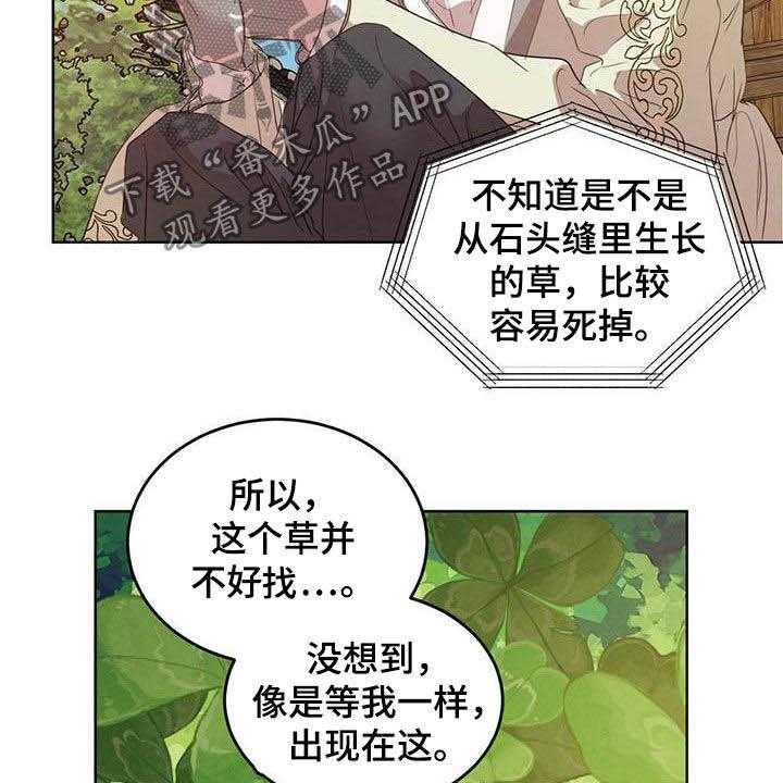 《柳树下的浪漫》漫画最新章节第87话 87_【第二季】四叶草免费下拉式在线观看章节第【14】张图片