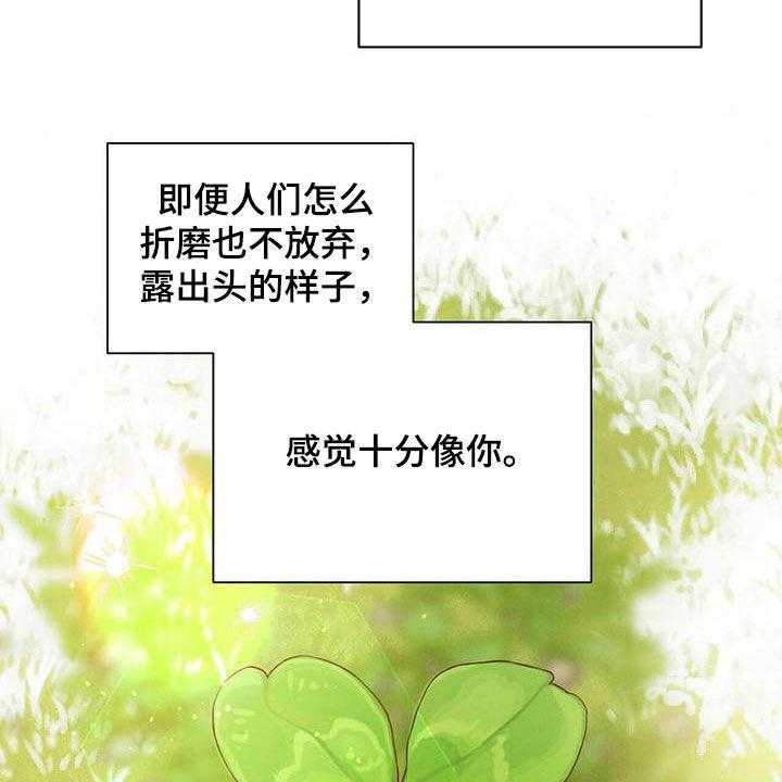 《柳树下的浪漫》漫画最新章节第88话 88_【第二季】袭击免费下拉式在线观看章节第【12】张图片