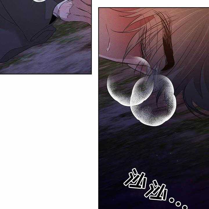 《柳树下的浪漫》漫画最新章节第89话 89_【第二季】阻拦免费下拉式在线观看章节第【37】张图片