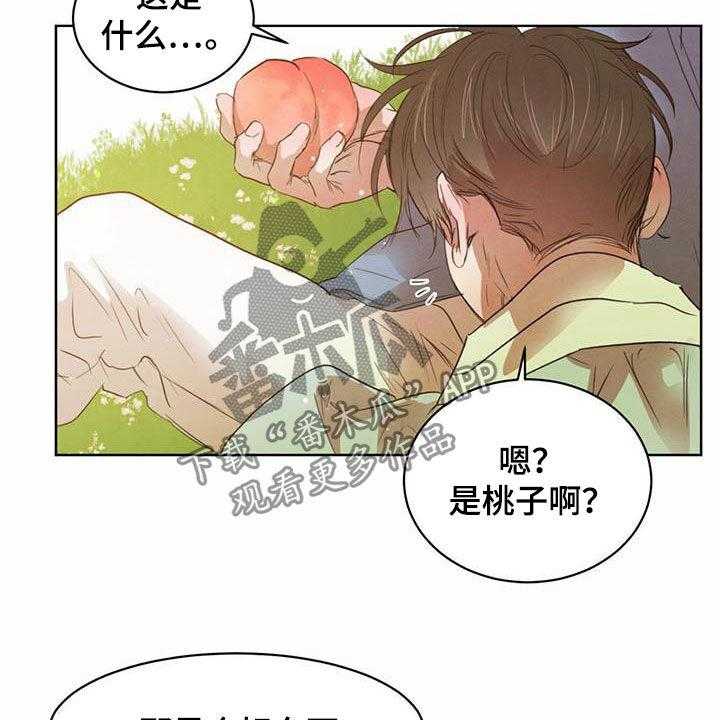 《柳树下的浪漫》漫画最新章节第91话 91_【特别篇】龙飞桃落免费下拉式在线观看章节第【7】张图片