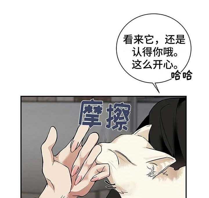 《毒蛇缠咬》漫画最新章节第22话 22_不安免费下拉式在线观看章节第【37】张图片