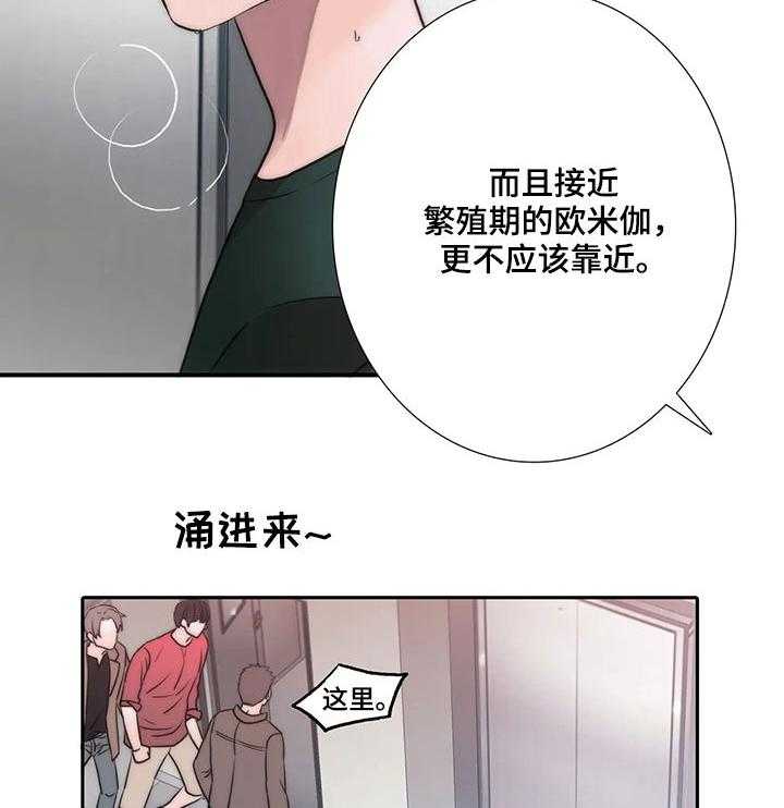 《觉醒周期》漫画最新章节第84话 84_给我让开免费下拉式在线观看章节第【16】张图片