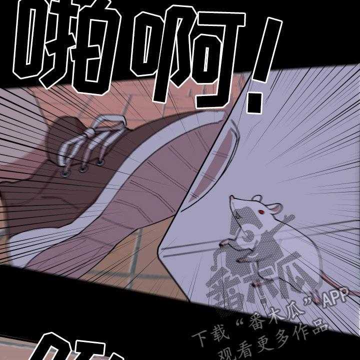 《请听我解释》漫画最新章节第35话 35_联系方式免费下拉式在线观看章节第【28】张图片