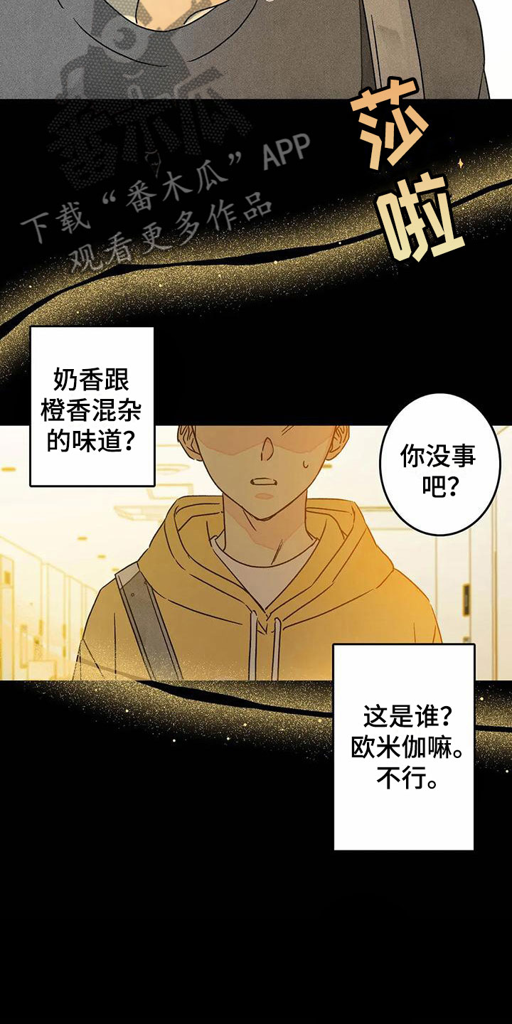 《易感期大作战》漫画最新章节第10章喜欢这个人免费下拉式在线观看章节第【10】张图片