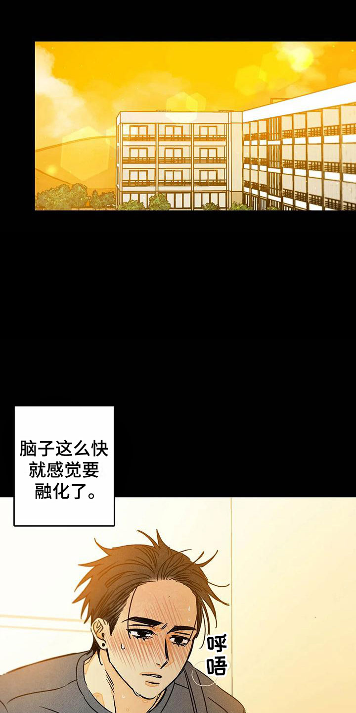 《易感期大作战》漫画最新章节第10章喜欢这个人免费下拉式在线观看章节第【14】张图片