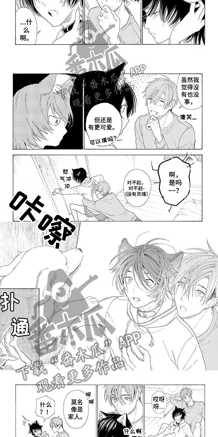 《服从吧狼少年》漫画最新章节第17章像是家人免费下拉式在线观看章节第【5】张图片