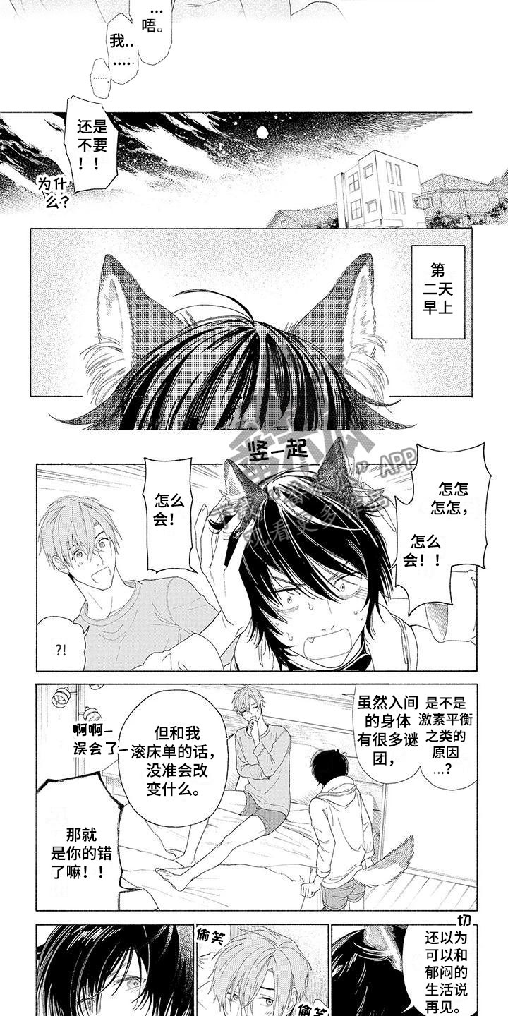 《服从吧狼少年》漫画最新章节第17章像是家人免费下拉式在线观看章节第【6】张图片