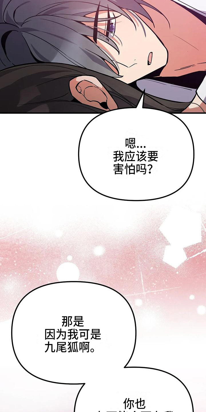 《狐仙之恋》漫画最新章节第13章夜空免费下拉式在线观看章节第【19】张图片